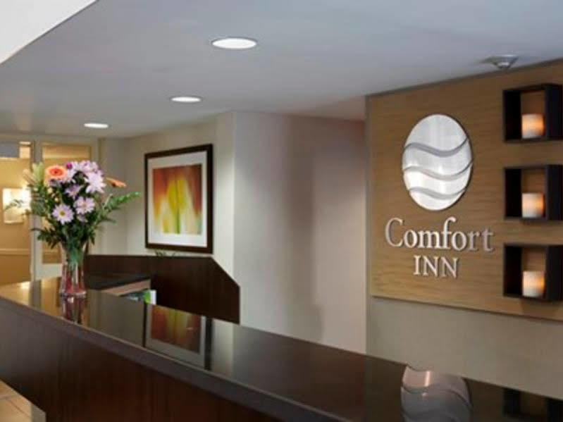 Comfort Inn Swift Current Exteriér fotografie